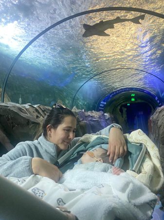 ana-phillip-aquarium